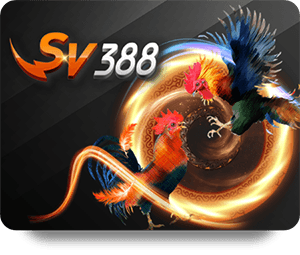 How to Find Valid 12BET Code Free Coupons Online